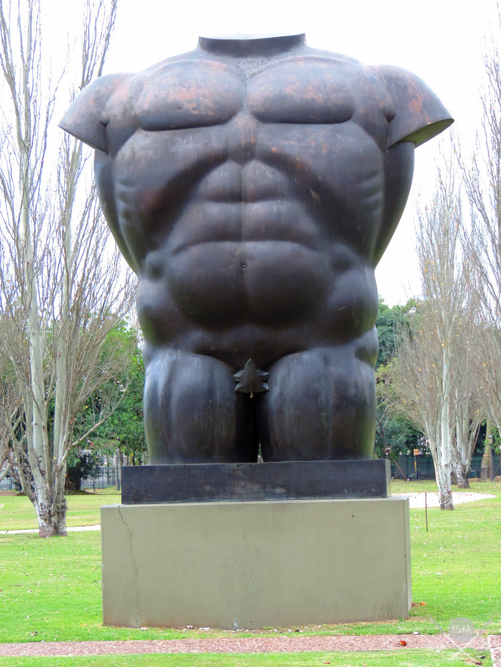 Buenos Aires - Torso Masculino desnudo