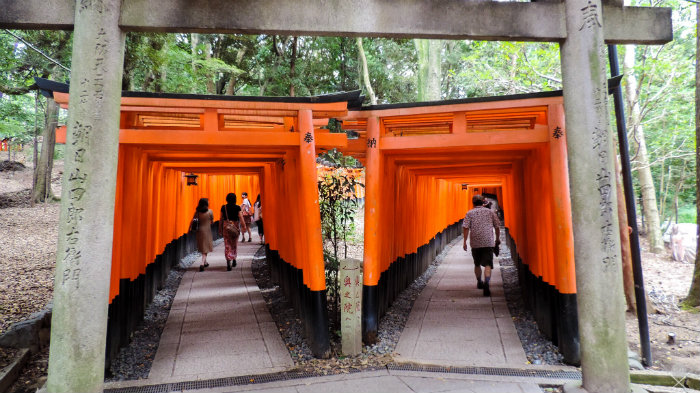 Fushimi-Inari-Taisha_Kyoto_Japão_Roteiro-20-dias-no-Japão_Next-Stop-Japão_Vida-de-Tsuge_VDT